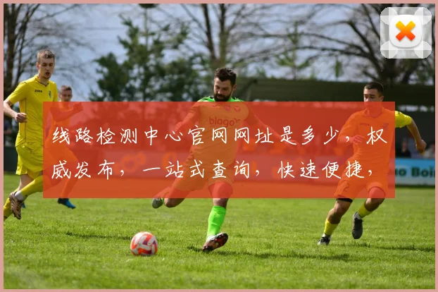 线路检测中心官网网址是多少，权威发布，一站式查询，快速便捷，三步直达