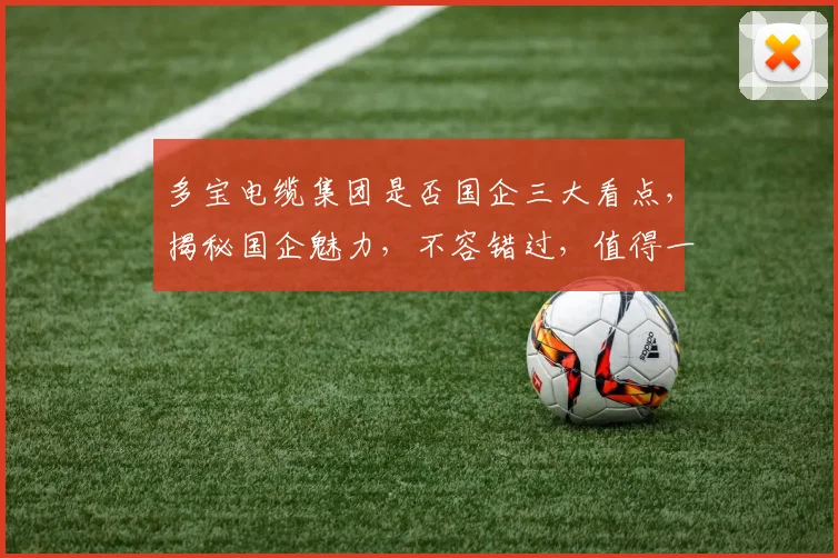 多宝电缆集团是否国企三大看点，揭秘国企魅力，不容错过，值得一看